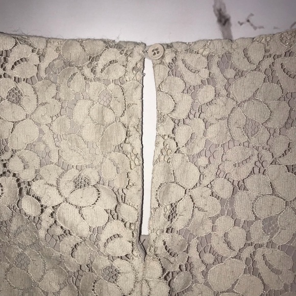 Aritzia Talula Oji Dress Floral Lace Fully Lined Size XS Short Sleeve Beige - Picture 6 of 6